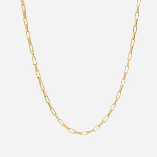 Ali Grace Necklace, 14k YG Paperlink Chain Necklace 18”